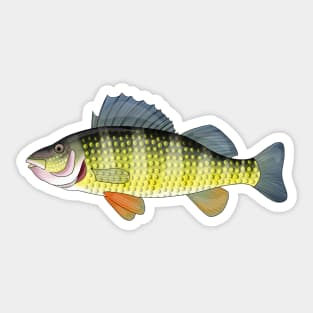 Yellow Perch Sticker